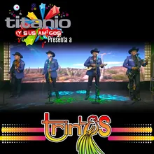 Llorarás / Cultivando Rosas / Chiquillas Lindas En Vivo