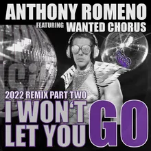 I Wont Let You Go 2022 Radio Mix