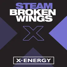 Broken Wings Remix