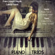 Piano Trio in F-Sharp Minor, H.XV N.26 in F-Sharp Minor: I. Allegro