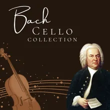 6 Cello Suite, No. 6 in D Major, BWV 1012: V. Gavotte I - Gavotte II