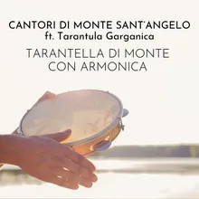 Tarantella di monte con armonica