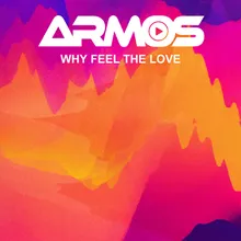 Why Feel The Love Extended Mix