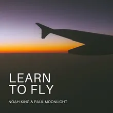 Learn to Fly Instrumental