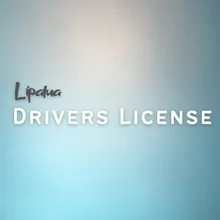 Drivers License Instrumental