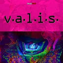 V.A.L.I.S.