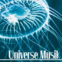 Universe Musik