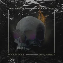 Fools Gold Extended Mix