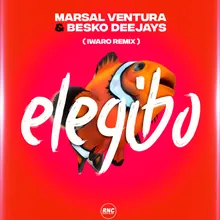 Elegibo Iwaro Remix Radio Edit