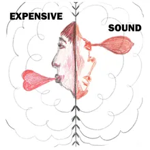 Expensive Sound