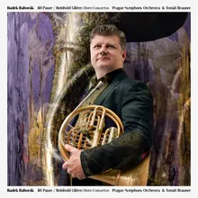 Concerto for French Horn and Orchestra in B-Flat Major, Op. 91: II. Andante