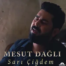 Sarı Çiğdem