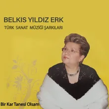 Sevgiler Biriktirdim