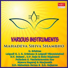 Mahadeva Shiva Shambho