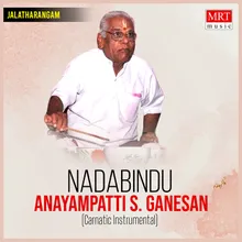 Anupama Gunambudhi Instrumental