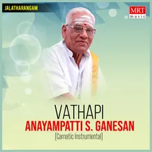 Vaathaapi Ganapathim Instrumental