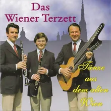 Wiener Damen-Ländler, Op. 67, D. 734