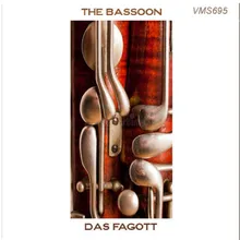 Concerto for Bassoon and Orchestra in B-Flat Major: I. Allegro moderato