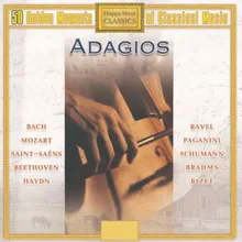 Le Quattro Stagioni (The Four Seasons), L'inverno (Winter): Concerto No. 4 for Violin, Strings and Cembalo, in F minor, Op. 8: II. Largo