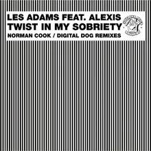 Twist in My Sobriety-Ali Payami Remix