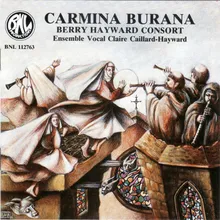 Carmina burana: Celum non animum, non te lusisse pudeat, Nomen a sollempnibus