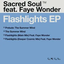 Flashlights-Deeper Cosmic Mix