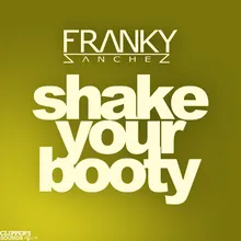 Shake the Booty-Radio Edit