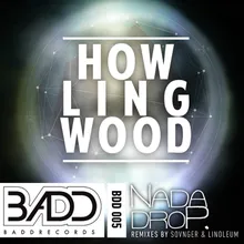 Wood Party-Sovnger on Acid remix