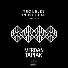 Troubles in My Head-FAN Remix