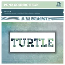 Turtle-Arveene & Misk's Amphibians on Fire Remix