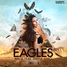 Eagles-Renvo & Vincent Voort Remix Edit