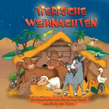 Der Wüstenfuchs