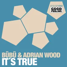 It's True-Dub Mix