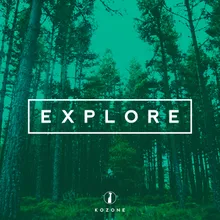 Explore-Noisy Cat Remix