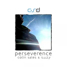 Perseverence-Rob Hayes Remix