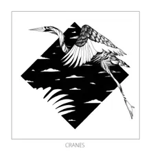 Cranes-Kolsch Remix