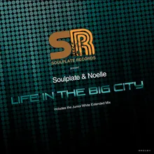 Life in the Big City-Soulplate Redub