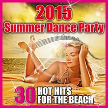 Summer Party-Radio Edit