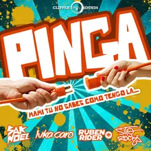 Pinga-Radio Mix