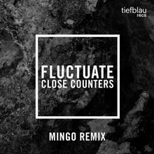 Fluctuate-Mingo Remix