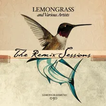 Stuck on You-Lemongrass Samba De Sol Remix