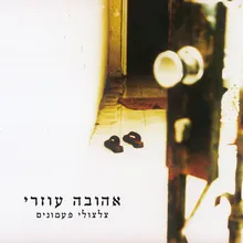 נפשי דוממה