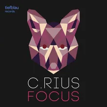 Focus-Steve Hope Remix