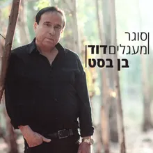 סוגר מעגלים