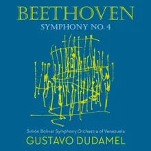 Symphony No. 4 in B-Flat Major, Op. 60: IV. Allegro ma non troppo