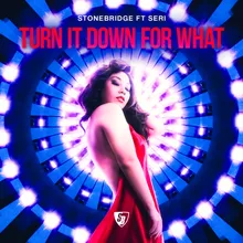 Turn It Down for What-StoneBridge & Damien Hall Ibiza Mix