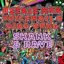 Skank and Rave-Radio Edit