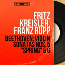 Violin Sonata No. 5 in F Major, Op. 24 "Spring": IV. Rondo. Allegro ma non troppo