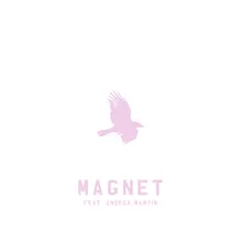 Magnet