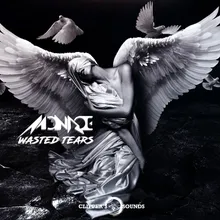 Wasted Tears-Soulshaker Radio Edit